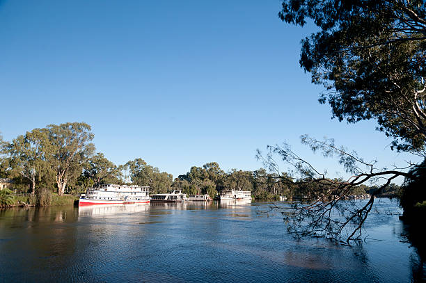 istock Paddle boats on the Murray river 153562451