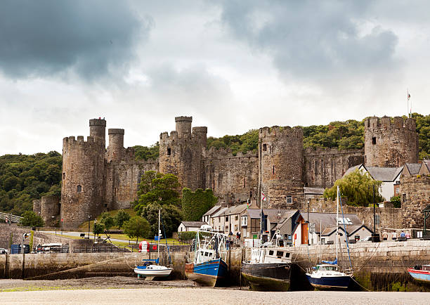 Conwy Castle Conwy Castle and harbor at ebb-tide gwynedd photos stock pictures, royalty-free photos & images