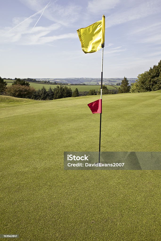 Flag su un putting green da golf - Foto stock royalty-free di Bandiera