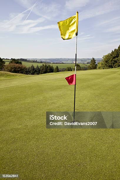 Bandeira No Putting Green De Golfe - Fotografias de stock e mais imagens de Bandeira - Bandeira, Bandeira de Golfe, Buraco