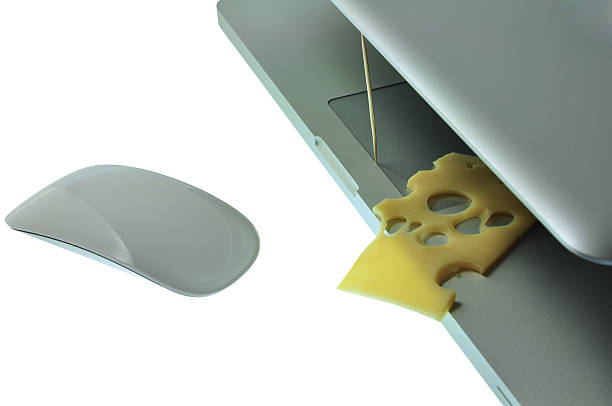 Sandwich Computer Mouse 70+ Computer Computer Mouse Food Cheese Stock Photos, Pictures ...