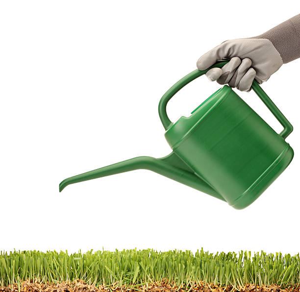 istock Person holding a watering can and glass 153564168