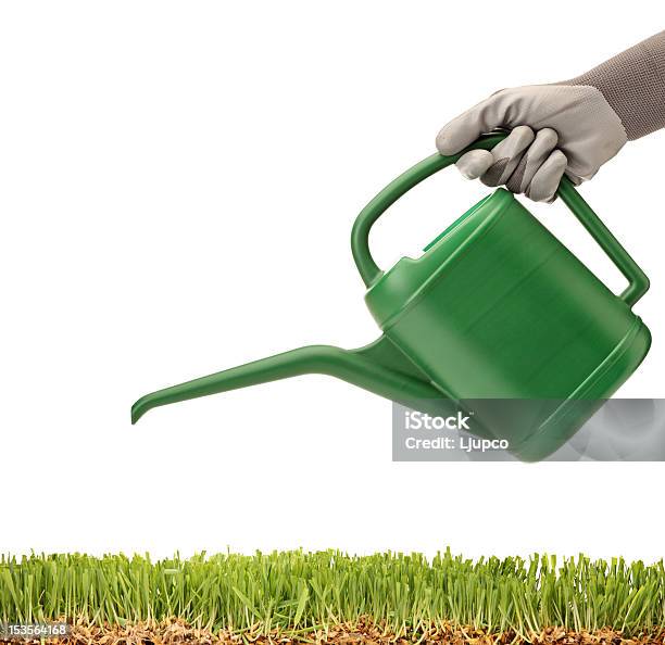 Foto de Pessoa Segurando Um Regador E Vidro e mais fotos de stock de Aveia - Aveia, Branco, Cereal