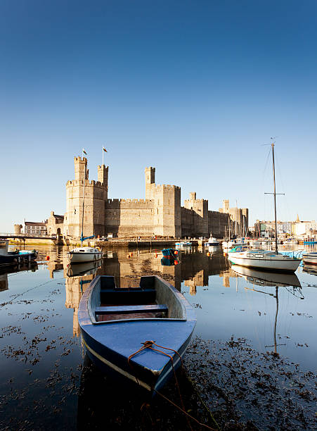 카나번 성 - caenarvon castle caernarfon castle wales 뉴스 사진 이미지