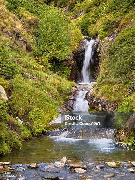 Cascada Foto de stock y más banco de imágenes de Agua - Agua, Aire libre, Arbusto