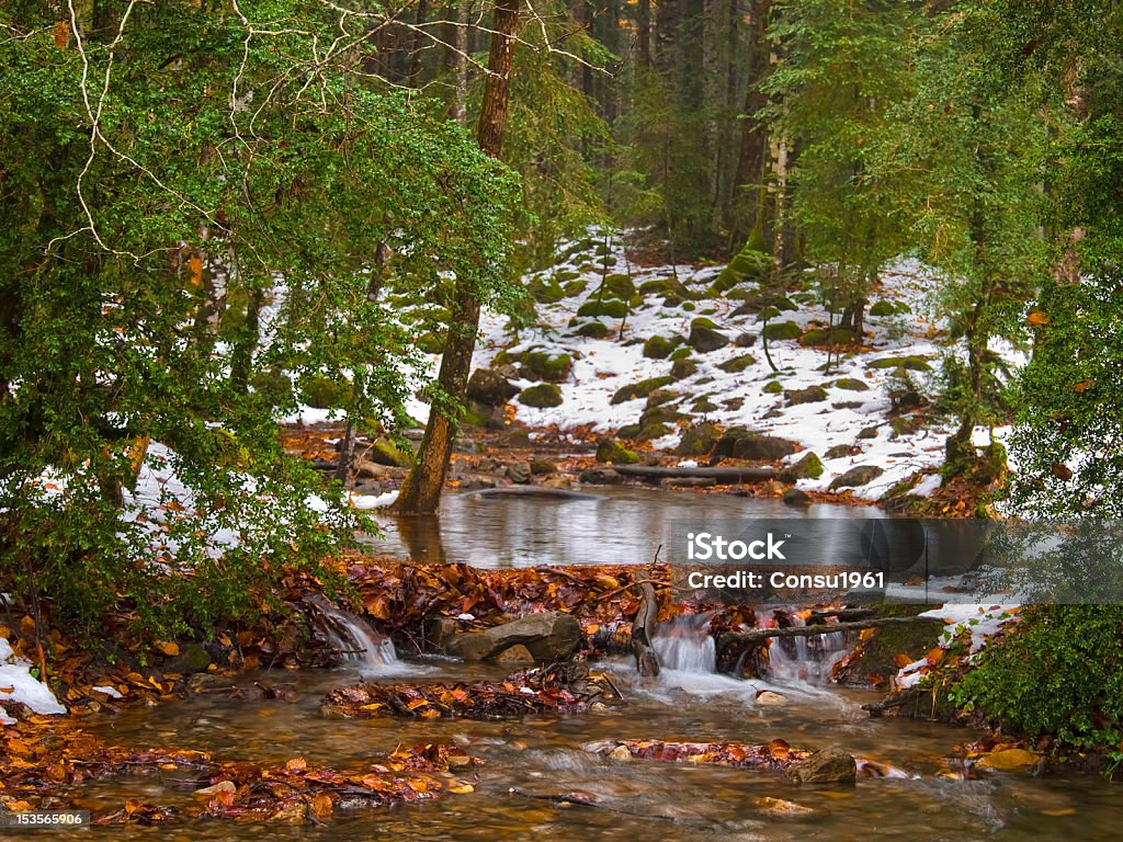 Otoño, invierno - Foto de stock de Aire libre libre de derechos