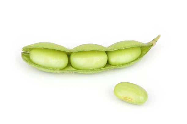 大豆 - soybean bean edamame pod ストックフォトと画像