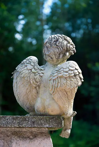 Image of an yound and sad Angel sitting on a pillar in front of a forest