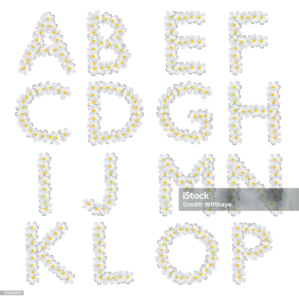 Plumeria alfabeto - Foto stock royalty-free di Alfabeto