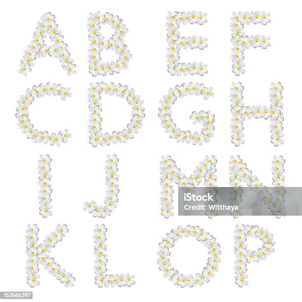 Plumeria アルファベット - アルファベットのストックフォトや画像を多数ご用意 - アルファベット, カットアウト, スクエア