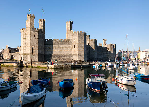 caernarfon castle marina - chateau de caernarfon photos et images de collection