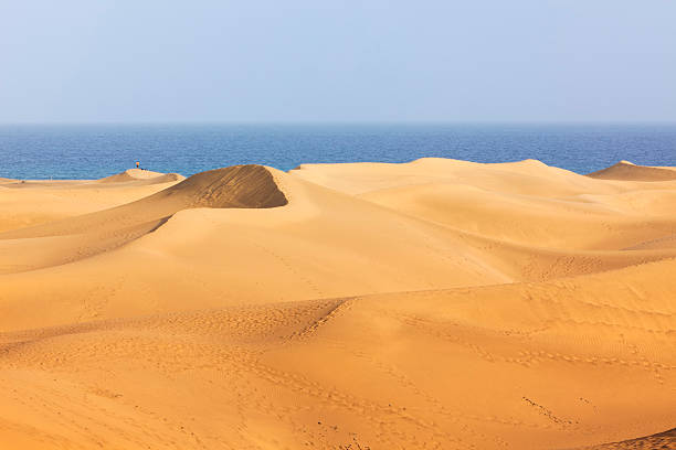 istock Dunes of Maspalomas, Grand Canary 153567227