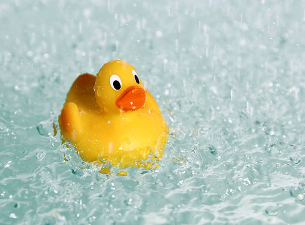 istock rubber toy duck in water 153567312