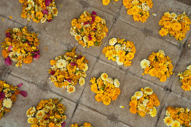 istock Nepalese Praying Flowers 153568265