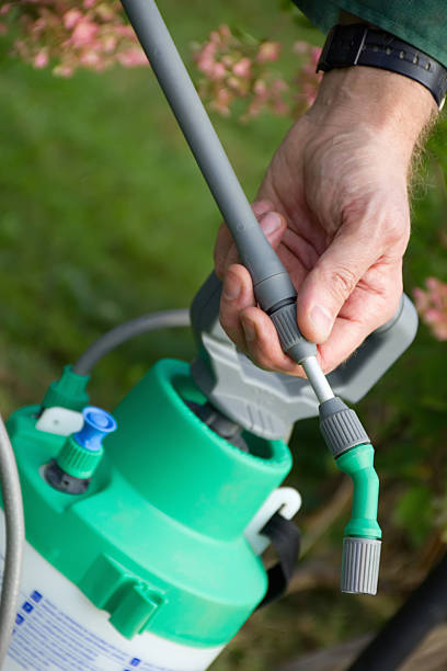 istock man's hand with a sprayer to fertilize 153568270