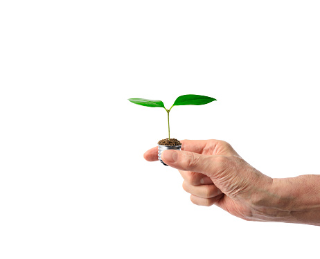 Close-up of hand holding a light bulb with emerging sprout against white background
Green ecology and saving energy concept