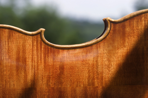 Maple back detail of a beautiful Cremonese violin, just hand-varnished. Shot taken in the nature.