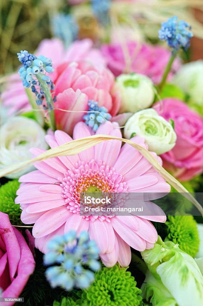 flowers festive bouquet of fresh flowers, gerbera, rose, Anniversary Stock Photo