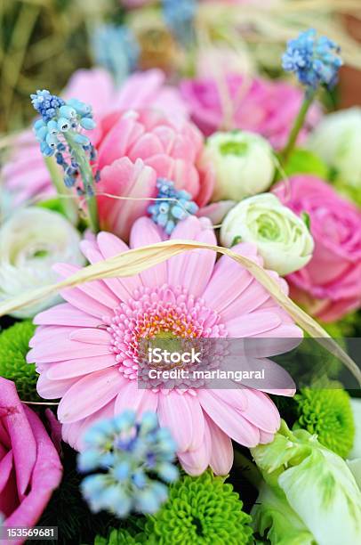 Flowers Stock Photo - Download Image Now - Anniversary, Arrangement, Beauty In Nature