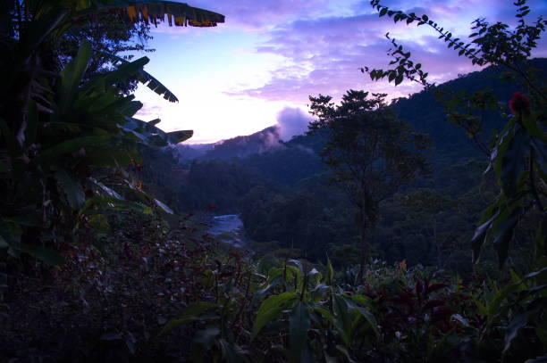 istock Early morning view from lodge 1535701031