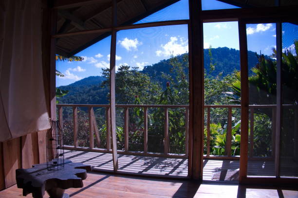 istock View from the lodge in rainforest 1535701184