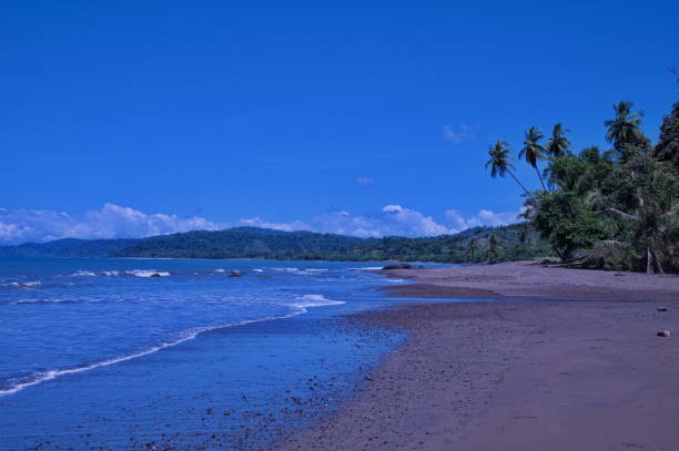 istock Tropical beach with sand and palm trees 1535701216
