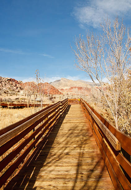 istock Wood Board Walkway Across Desert 153570722