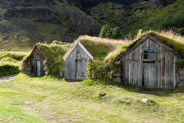 istock houses with grass on the roof 153571140