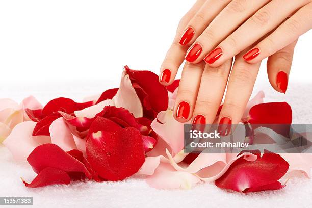 Red Nails Stock Photo - Download Image Now - Fingernail, Luxury, Rose - Flower