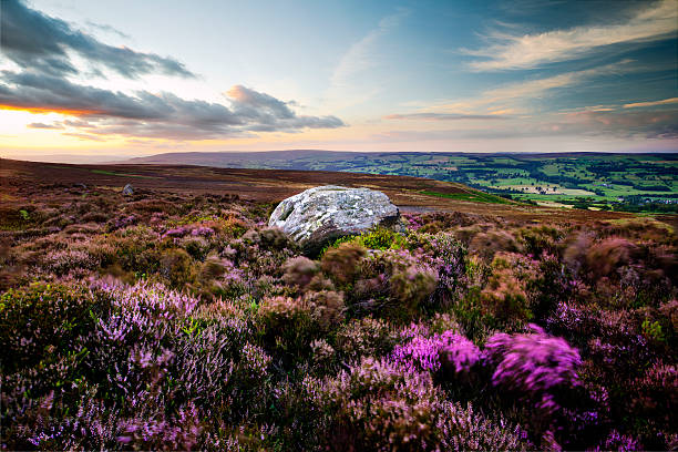 Rock A sunset on Ilkley moor this summer. north yorkshire photos stock pictures, royalty-free photos & images