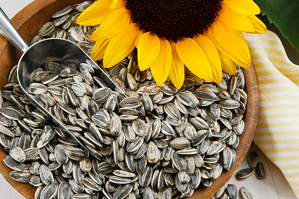 ヒマワリの種のクローズアップ - sunflower seed ストックフォトと画像