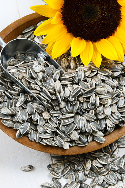 istock Sunflower Seeds in the Hull 153572265