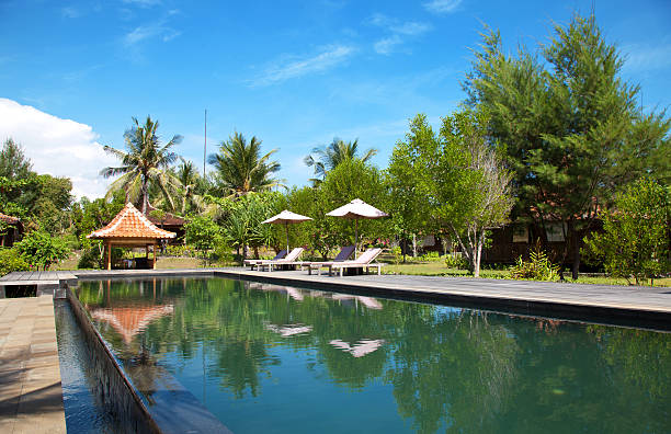 istock Swimming pool at an eco resort 153572563