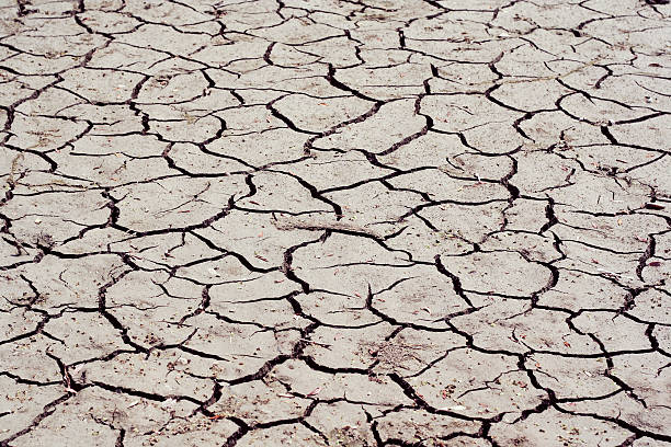 istock Dry land with crack after flood 153572715