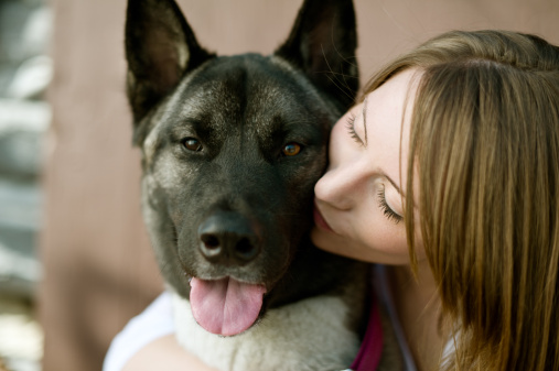 Close-up of young woman hugging Akita dog.