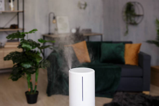 istock working air humidifier in living room with modern scandinavian interior 1535740257