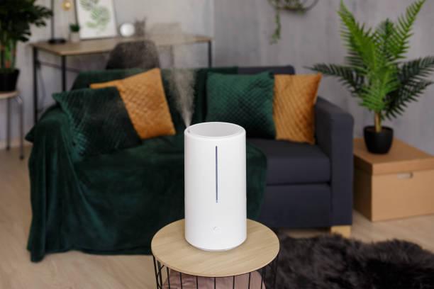 istock modern air humidifier in living room 1535740787