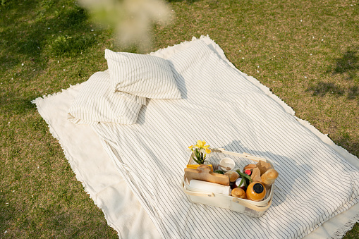 Picnic basket with food and drinks on a blanket in the garden
