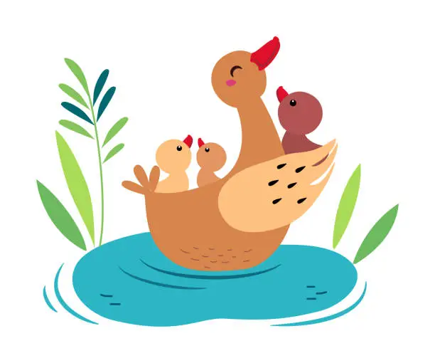 Vector illustration of Duck family. Cute mom duck hugging her duckling cartoon vector illustration