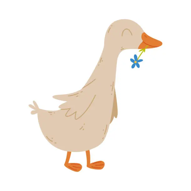 Vector illustration of Adorable gosling. Cute farm poultry bird cartoon vector illustration