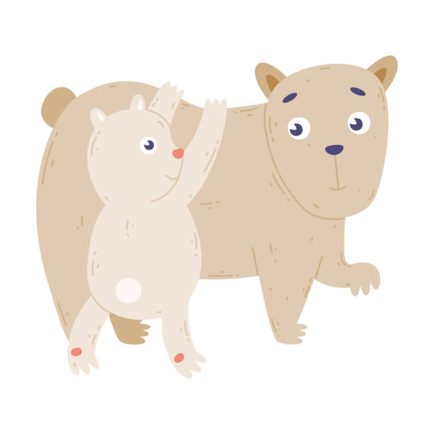 niedliche eisbärenfamilie. tiereltern und ihr baby. glückliche elternschaft-karikatur-vektorillustration - polar bear young animal isolated cub stock-grafiken, -clipart, -cartoons und -symbole