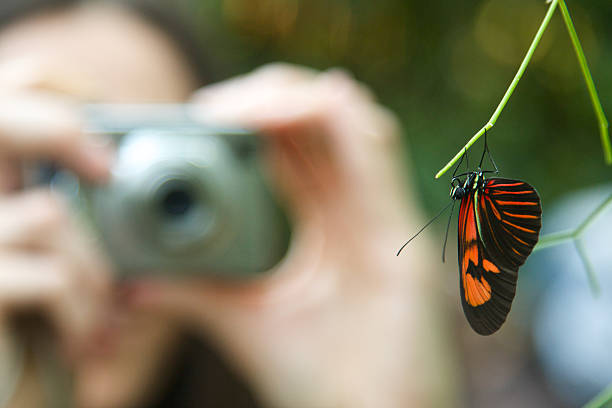 istock Young woman shoot a butterfly 153575332