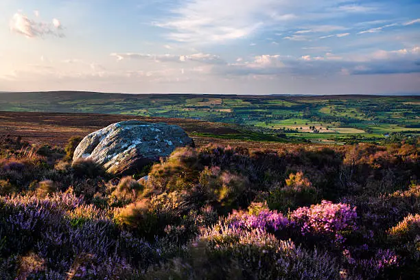 From a wonderful summers evening up on Ilkley Moor. It was very windy but peaceful up there!