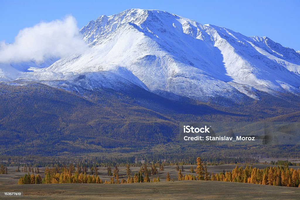 The Altai Mountains The  mountainous country Altai  expands in the South Siberia, latitude between 48 Altai Mountains Stock Photo