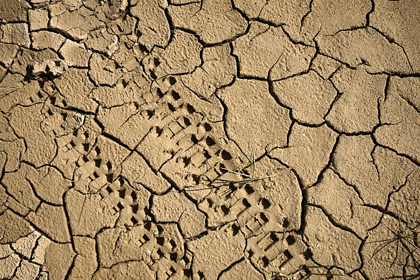 Dirt ground from car tires