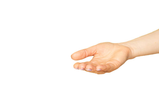 istock Outstretched female hand on a white background 1535813376