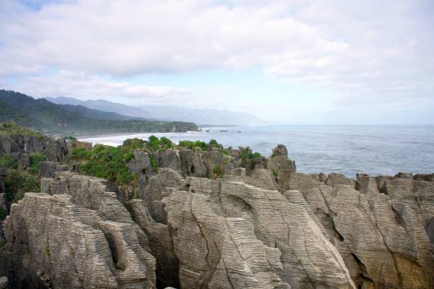 pancake rock a punakaiki, costa occidentale, nuova zelanda - powder blue viewpoint south island new zealand new zealand foto e immagini stock