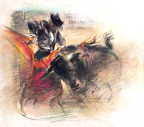 tourada ilustração - bullfighter imagens e fotografias de stock