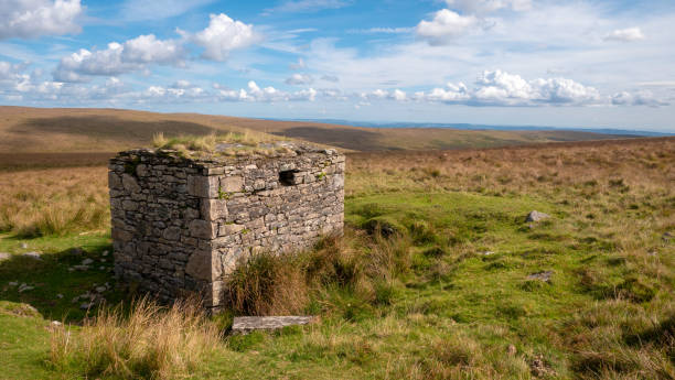 istock Eastern White Barrow, Dartmoor 1535849546