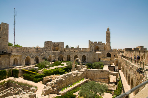 Garden of Gethsemane on the Mount of Olives